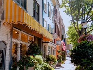 A Street With Buildings And Plants