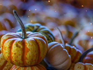 A Close Up Of A Fruit