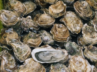 A Group Of Sea Shells