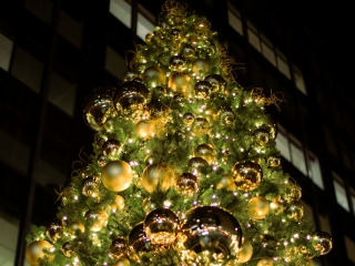A Tree With Lights And Ornaments