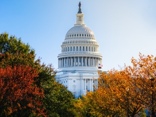 A White Building With A Dome And Trees In Front Of It With United States Capitol In The Background
