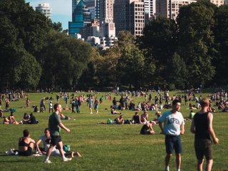 A Group Of People Playing Frisbee In A Park