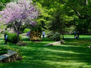 People Walking In A Park
