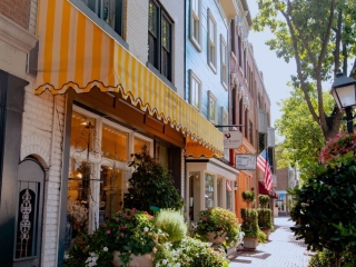 A Street With Buildings And Plants