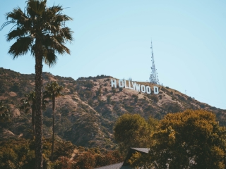 A Hill With Trees And Hollywood Sign