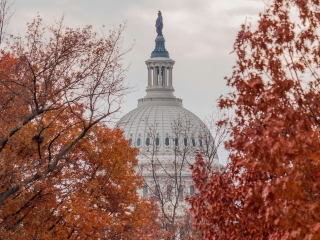 A Building With A Dome And Trees Around It