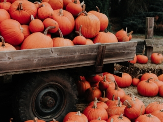 A Group Of Pumpkins In A Wooden Box