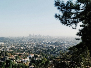 A City With Trees And A Body Of Water In The Background