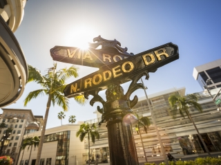 Rodeo Drive street sign with palm trees and sunshine