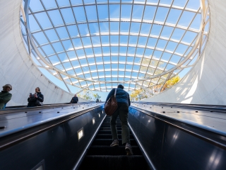 People On A Bridge