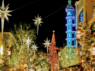 A Group Of Trees With Lights