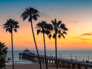 A Beach With Palm Trees And A Pier