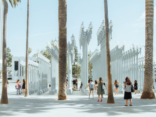 People Walking In A Plaza With Palm Trees And A Fountain